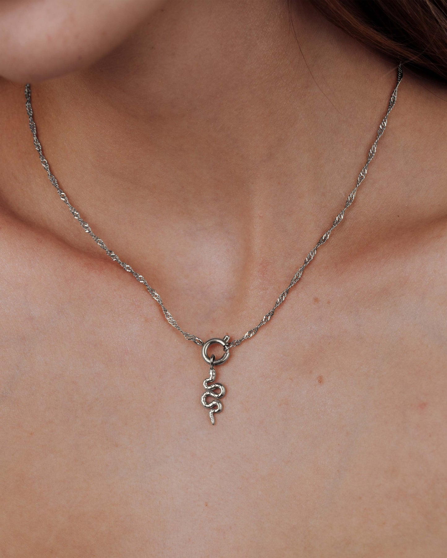 [[Farbe:Silber,Tragebild]]