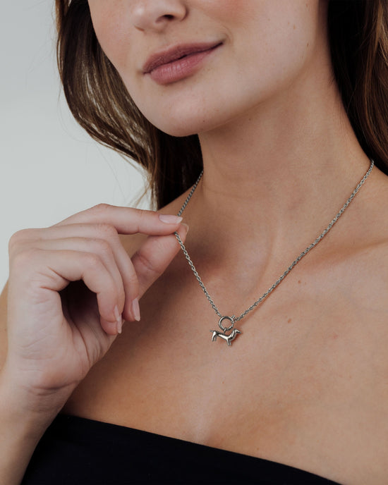 Shorty Rope Chain Necklace Set Silver