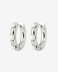 [[Color:Silver]]