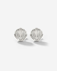 [[Color:Silver]]