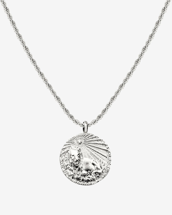 Zodiac Sign Necklace Silver