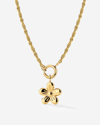 [[Color:gold]]