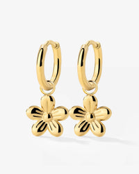 [[Farbe:Gold]]