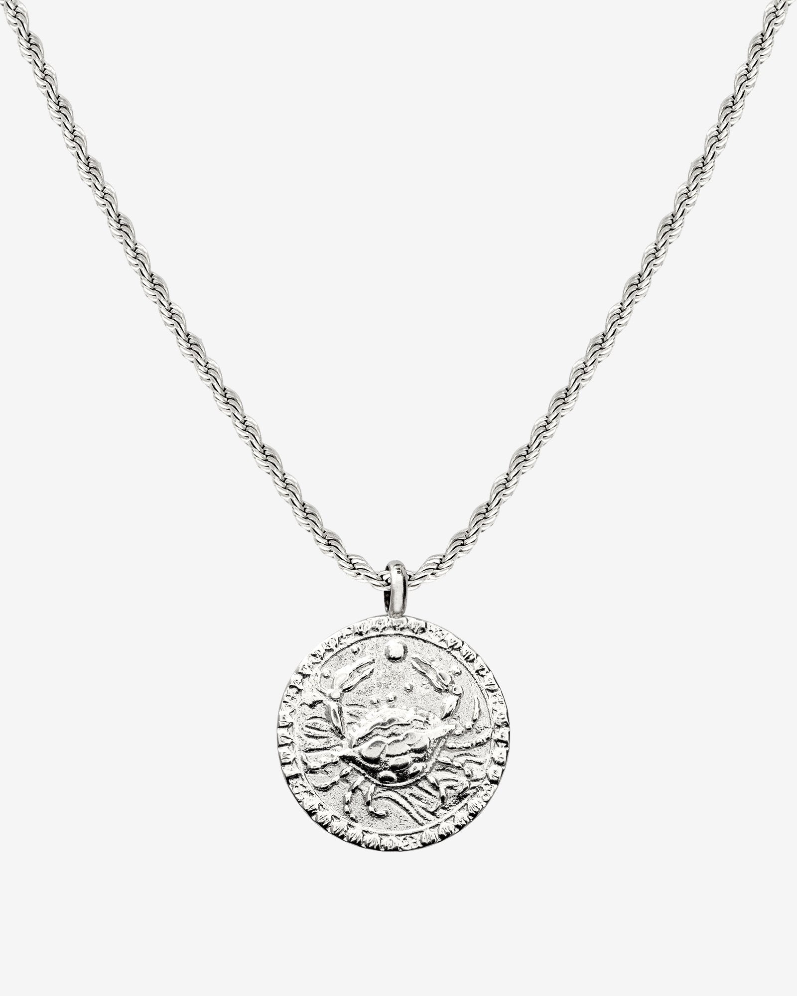 Zodiac Sign Necklace Silver