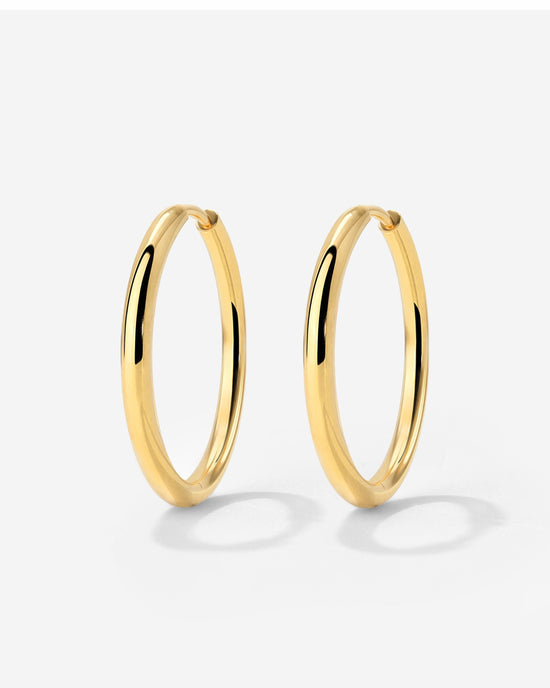 Large Hoop Earrings