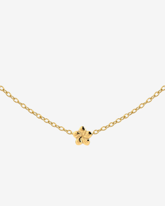 Floral Glow Choker Gold