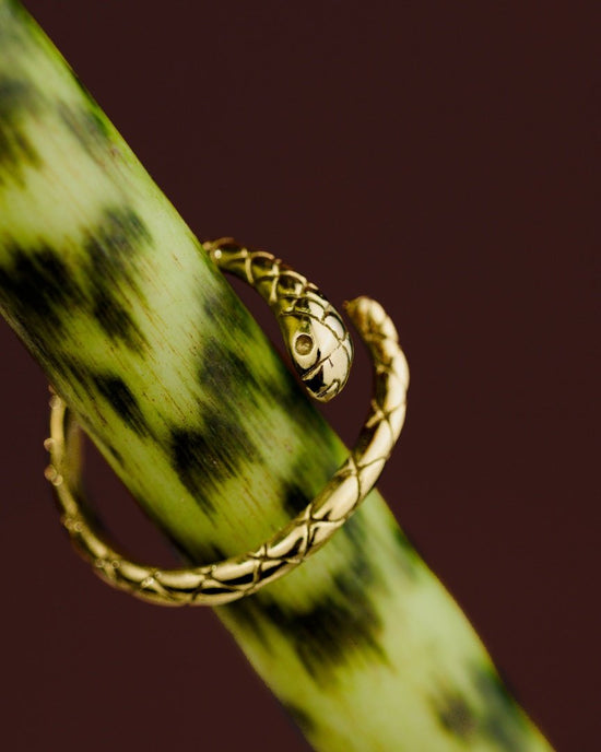 Vipers Ring Silver