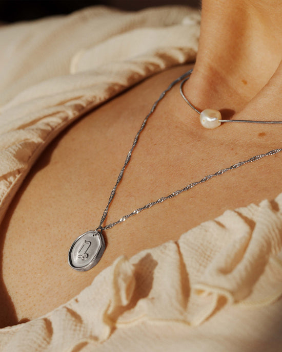 Zodiac Necklace Silver