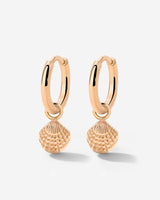 Cute Shell Hoop Set Rose Gold