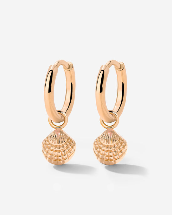 Cute Shell Hoop Set Rose Gold