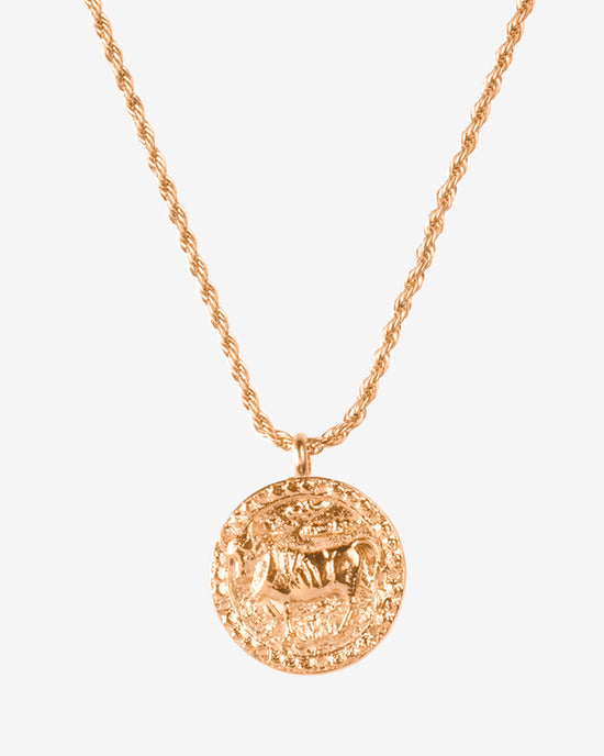 Zodiac Sign Necklace Rose Gold