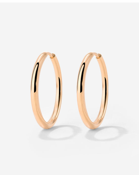 Large Hoop Earrings