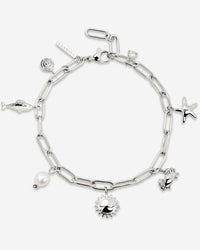 [[Farbe:Silber]]