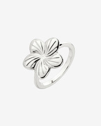 [[Farbe:Silber]]