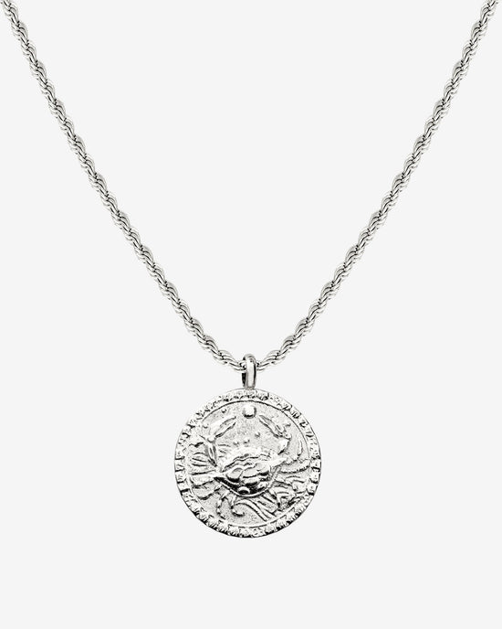 Zodiac Sign Necklace Silver
