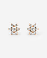 [[Color:Rose Gold]]