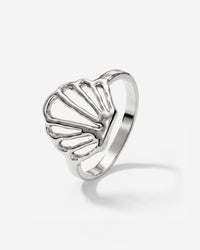 [[Color:Silver]]