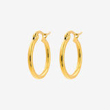 Sierra Hoops Medium