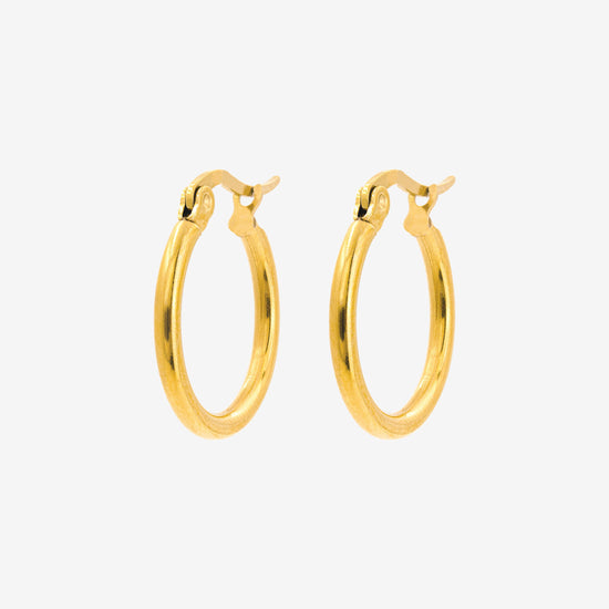 Sierra Hoops Medium