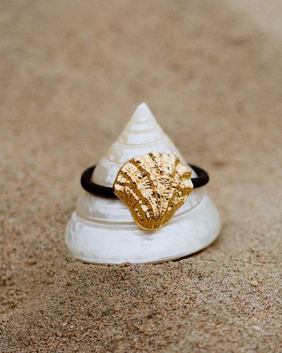 Shell Hair Tie Cream