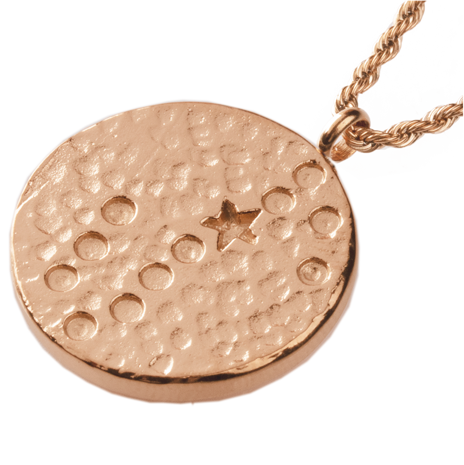 Rose gold 2025 pisces necklace