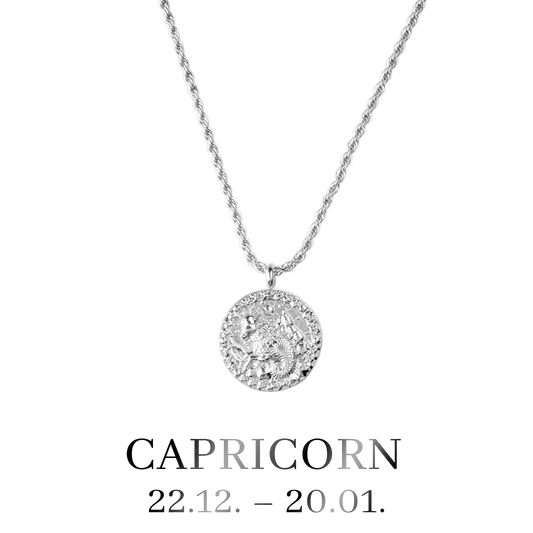 Capricorn Necklace Silver