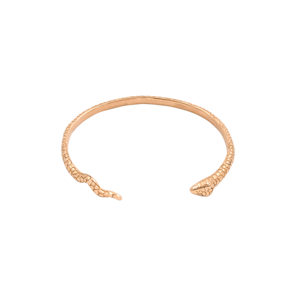 Charming Nicolas Bangle Rose Gold